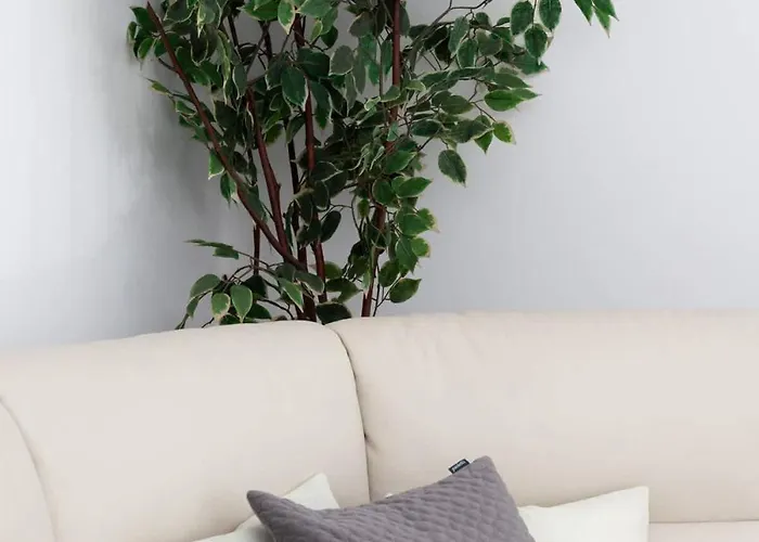 Spacious & Bright Family In By Renters *