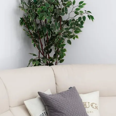 Spacious & Bright Family In By Renters *